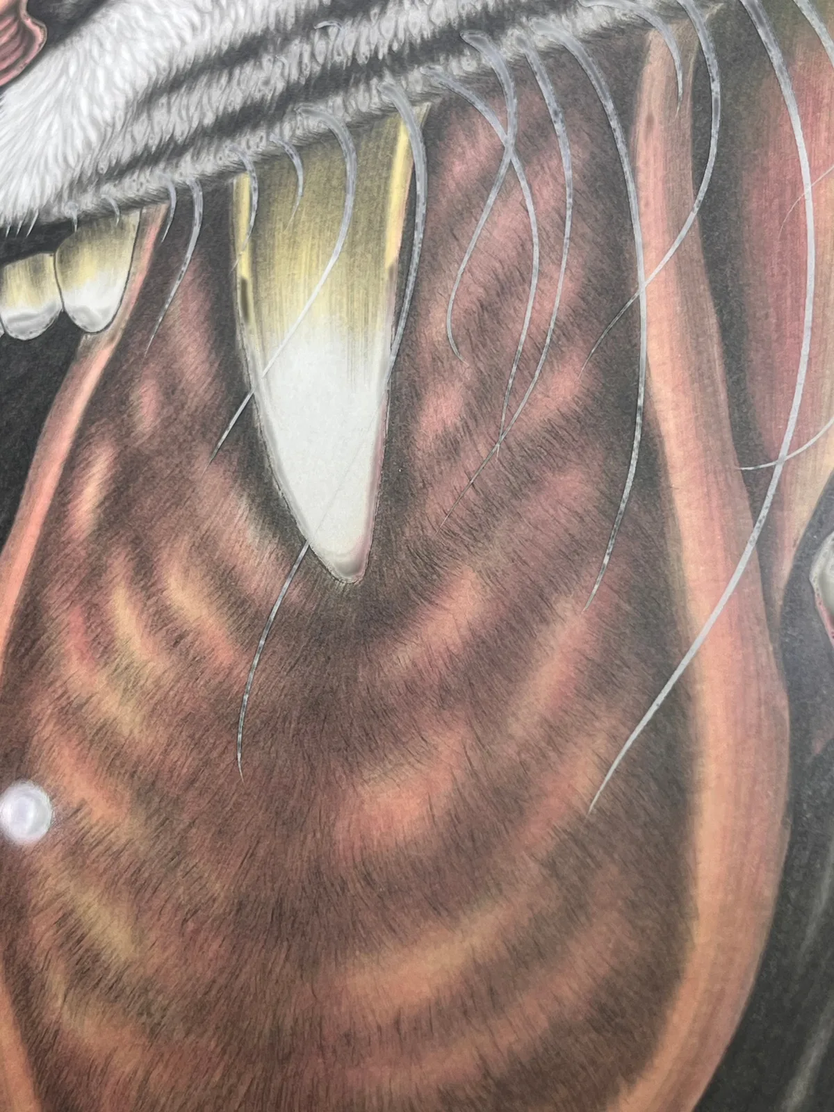 Roaring Tiger | Bold Ink and Colour Tiger Portrait tiger painting view 6