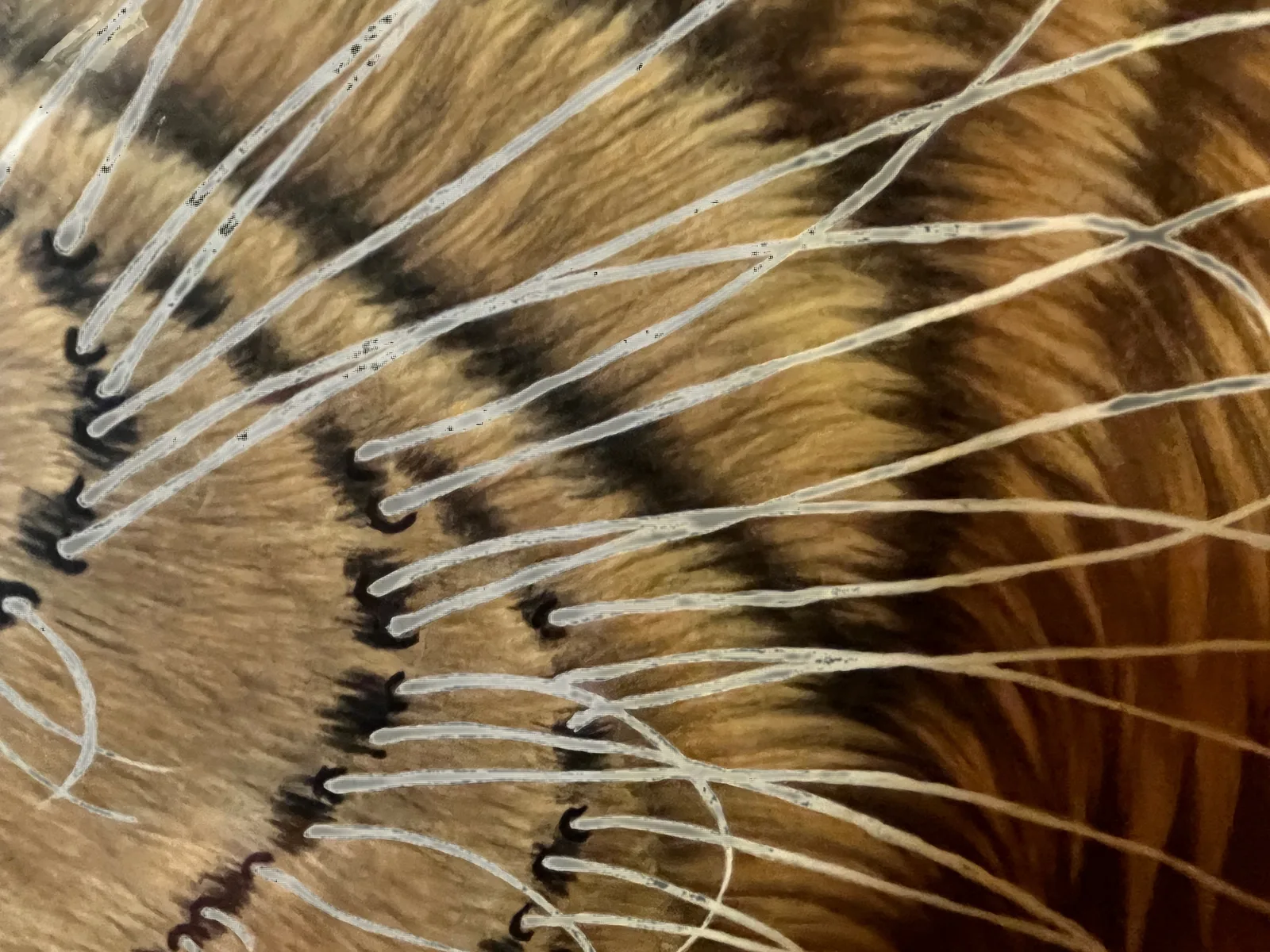 The Lion Awakens the East | Roaring Lion Head Painting tiger painting view 4