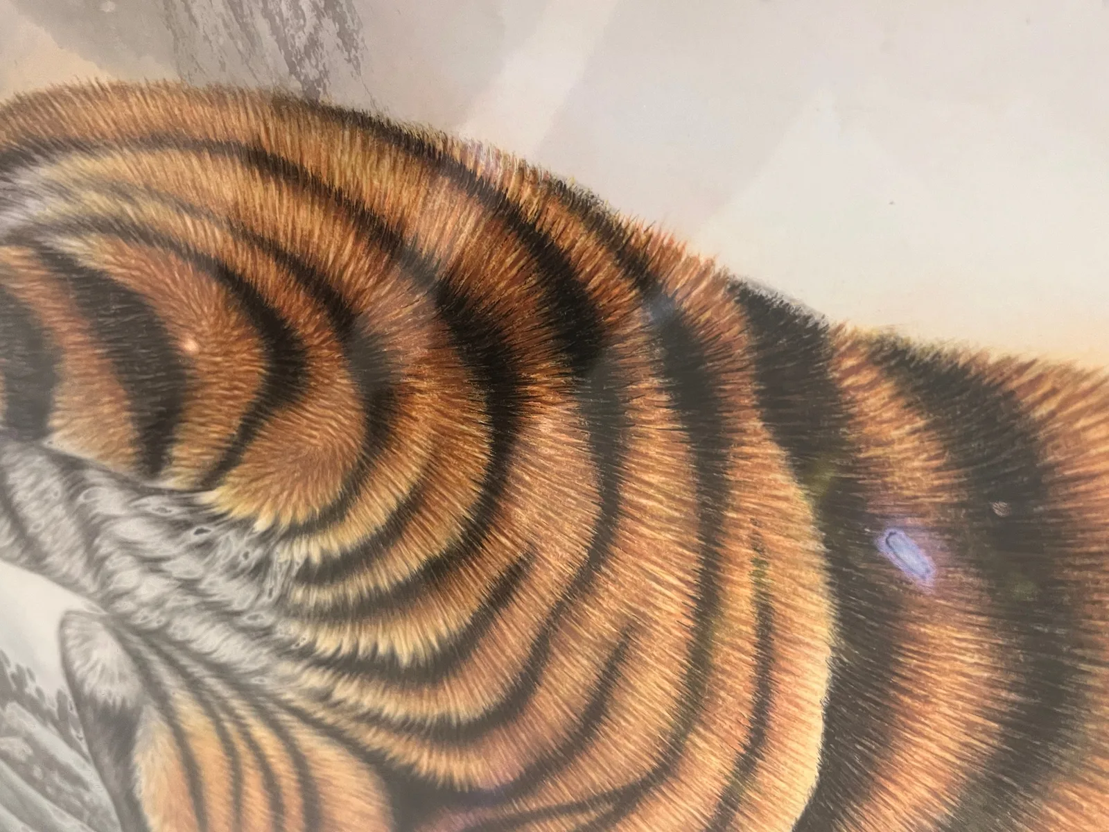 Tiger on the Sunrise Ridge | Chinese Landscape Painting tiger painting view 10
