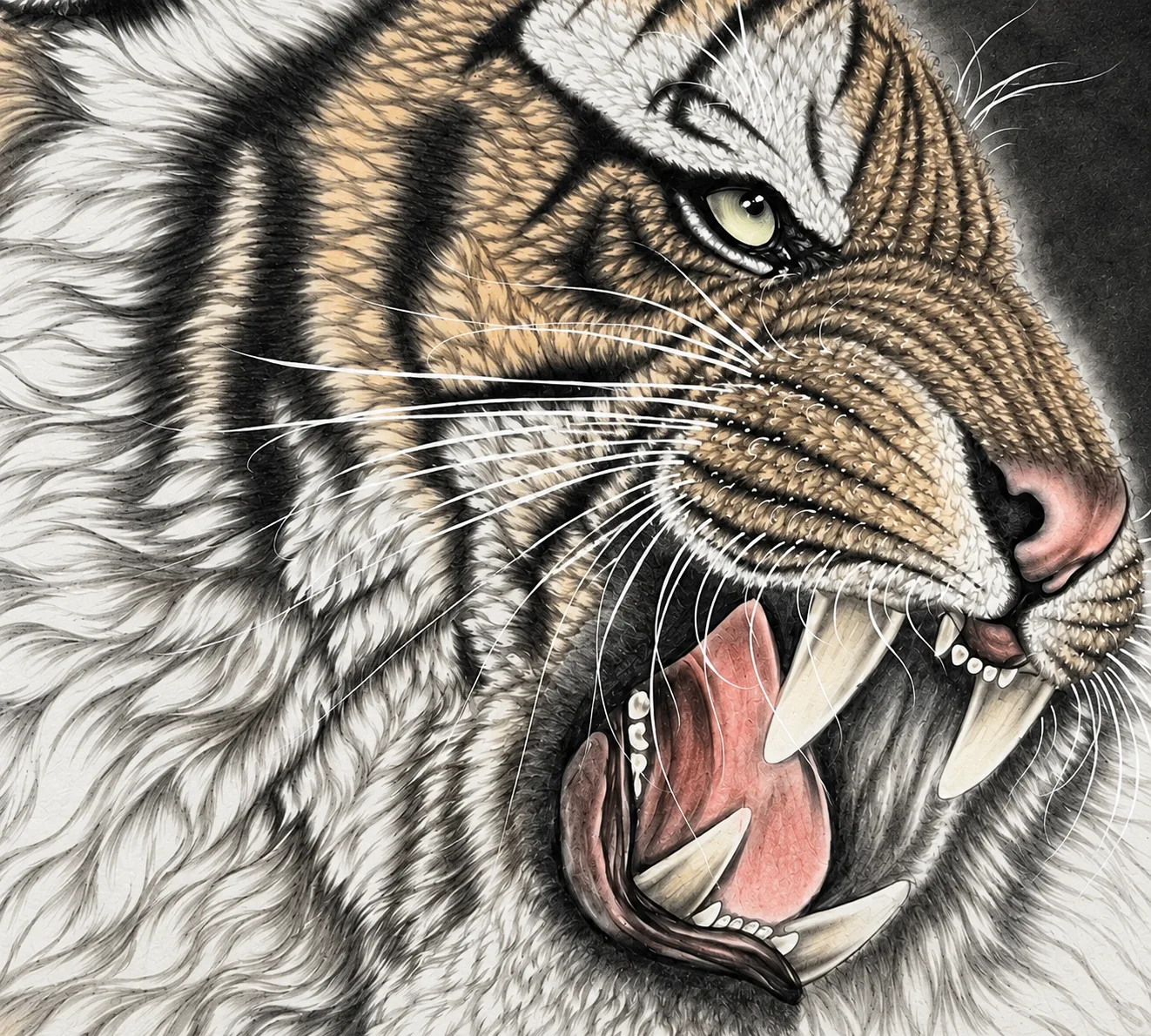 Tiger Roars in Profile | Ink-Wash Tiger Head tiger painting view 7