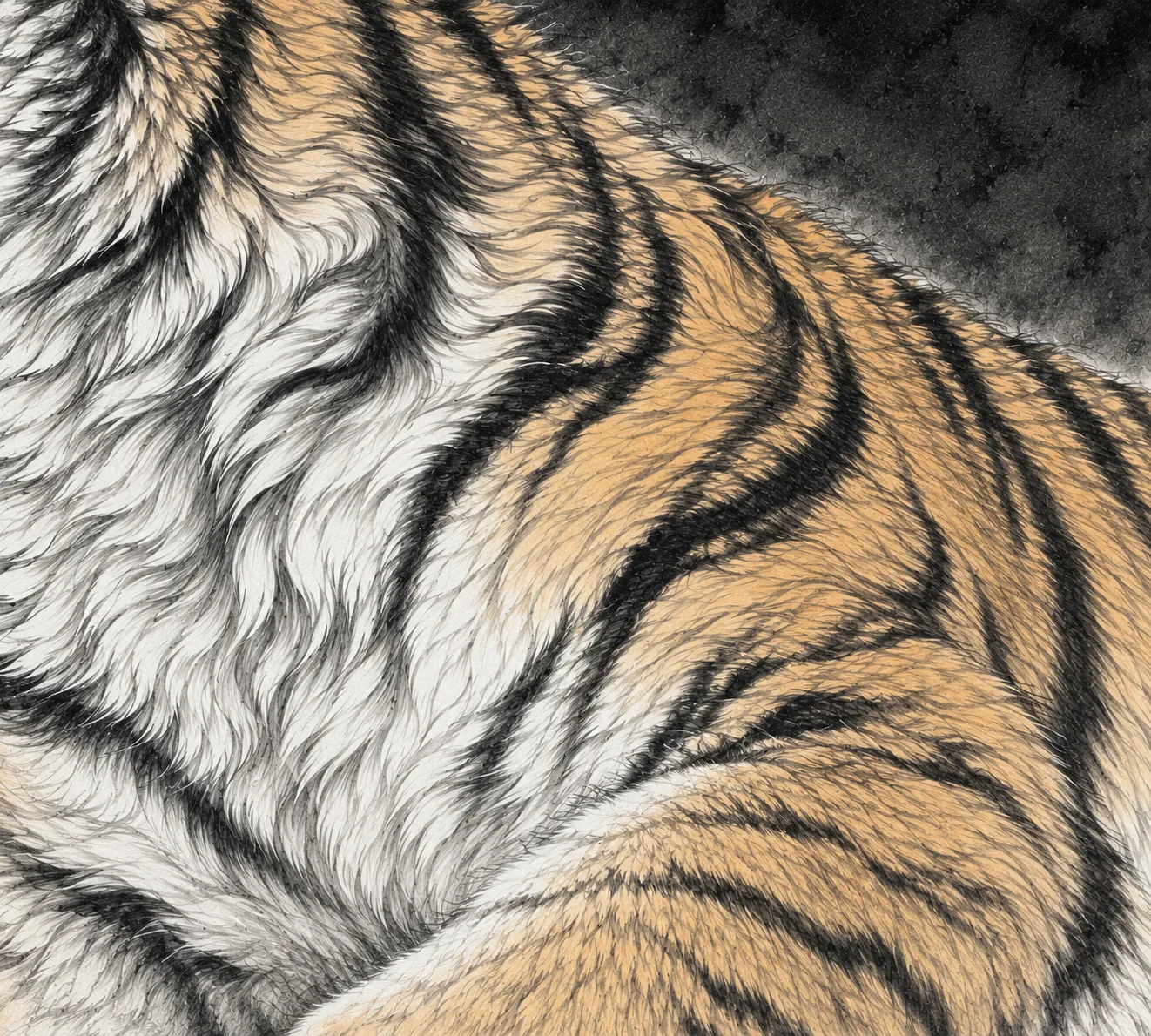 Tiger Roars in Profile | Ink-Wash Tiger Head tiger painting view 8