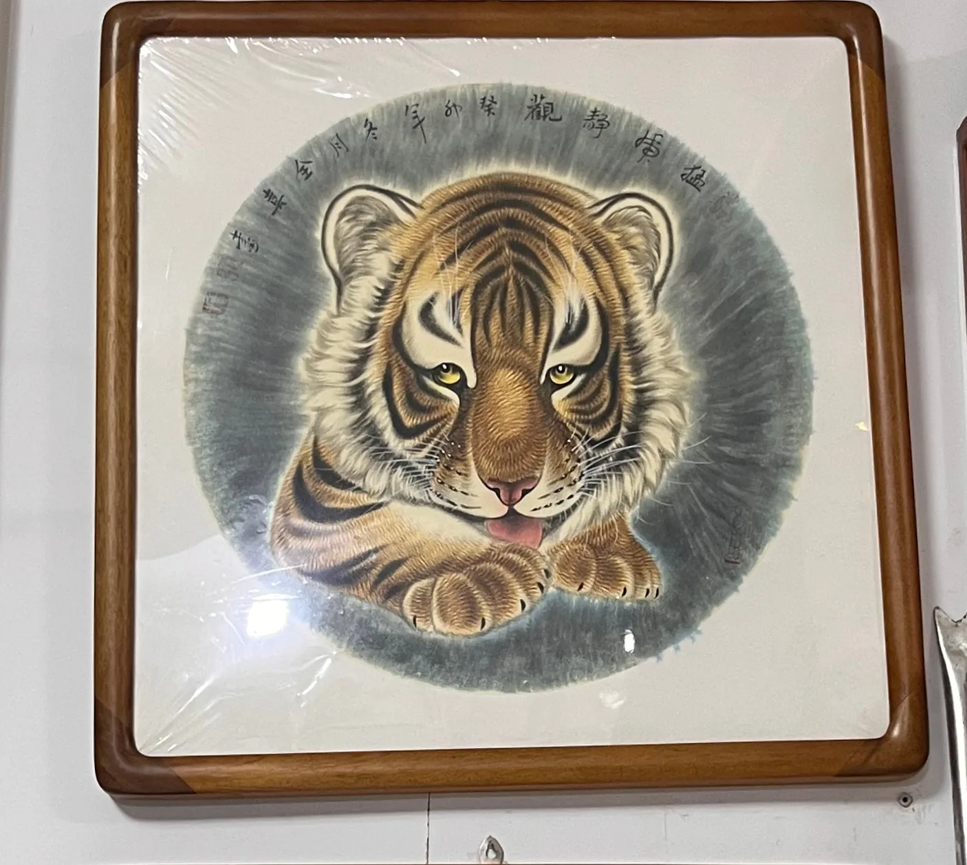 Tiger at Rest, Watching | Round Fan Tiger Portrait tiger painting view 2
