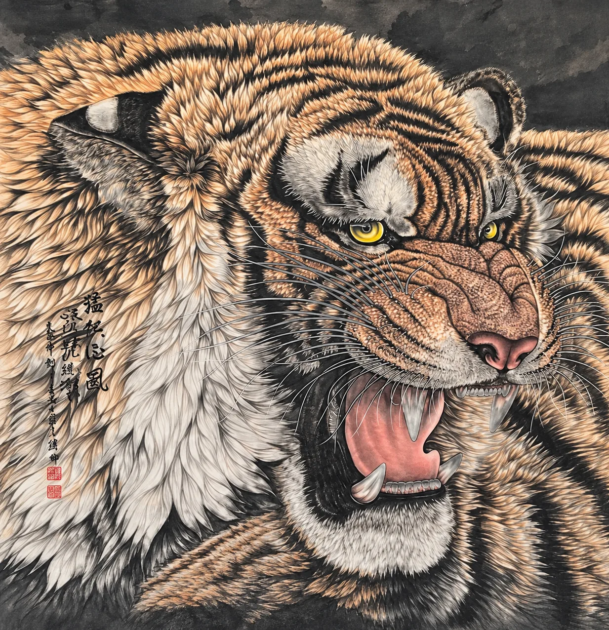 Tiger Raises the Wind | Over-the-Shoulder Roaring Tiger